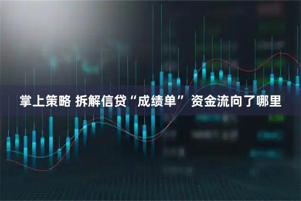 掌上策略 拆解信贷“成绩单” 资金流向了哪里